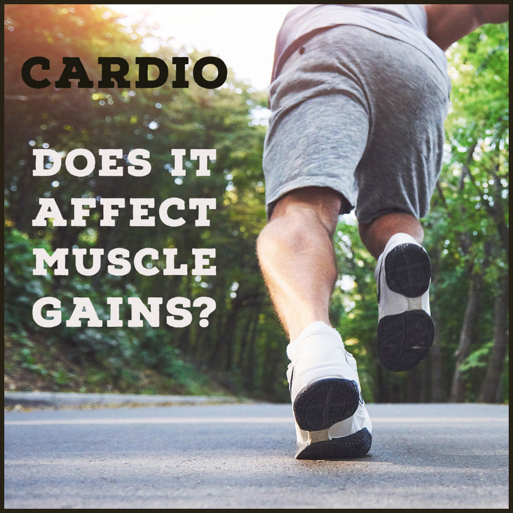 Does Cardio Affect Our Muscle Gains?