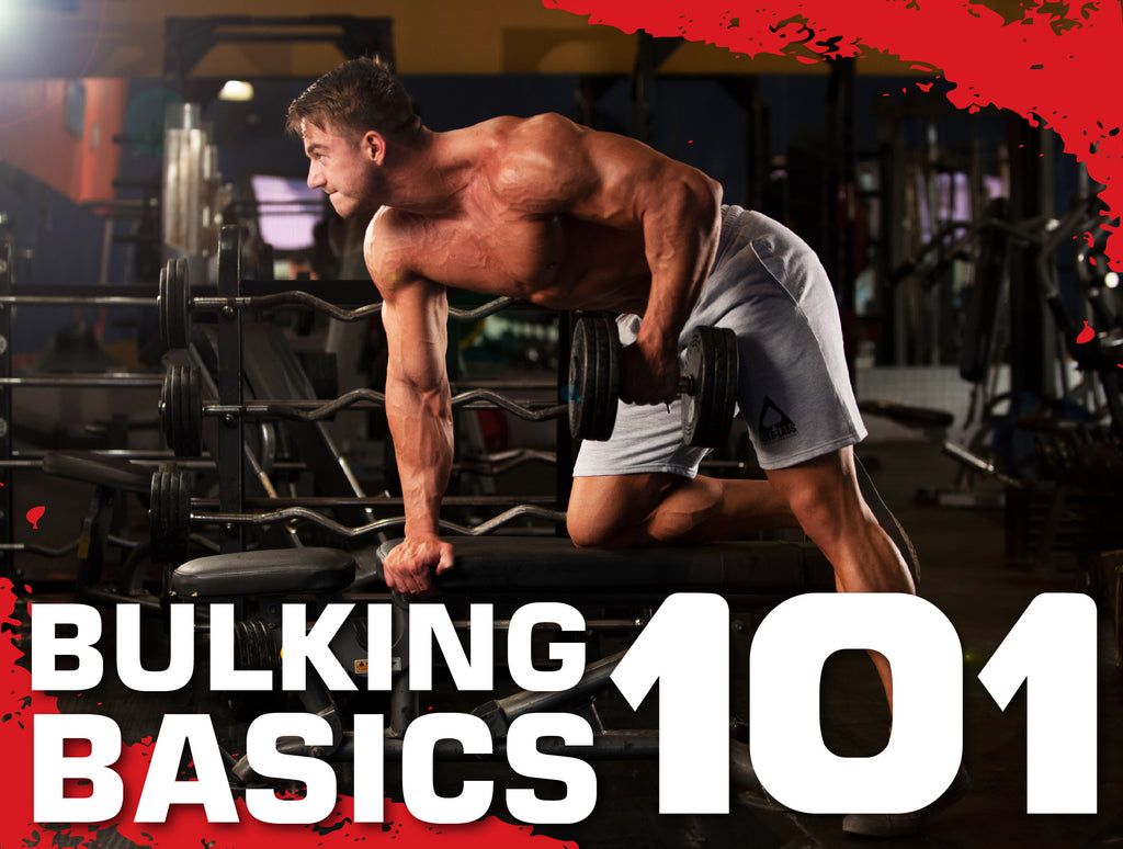 Bulking Basics 101