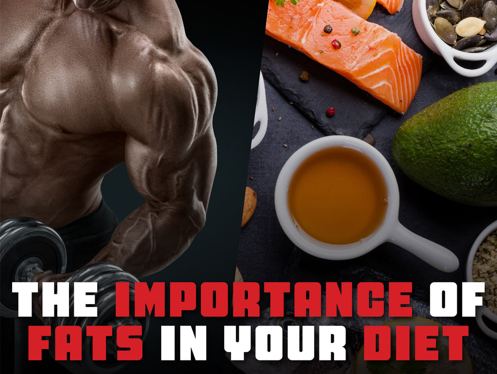 The Importance of Fats In Your Diet!